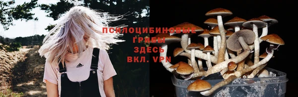 соль курить ск Арсеньев